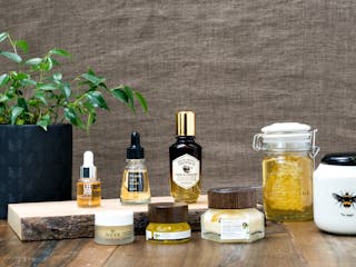 Focus on: Honey and Propolis