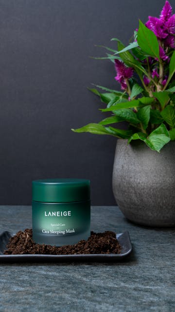 Laneige Cica Sleeping Mask